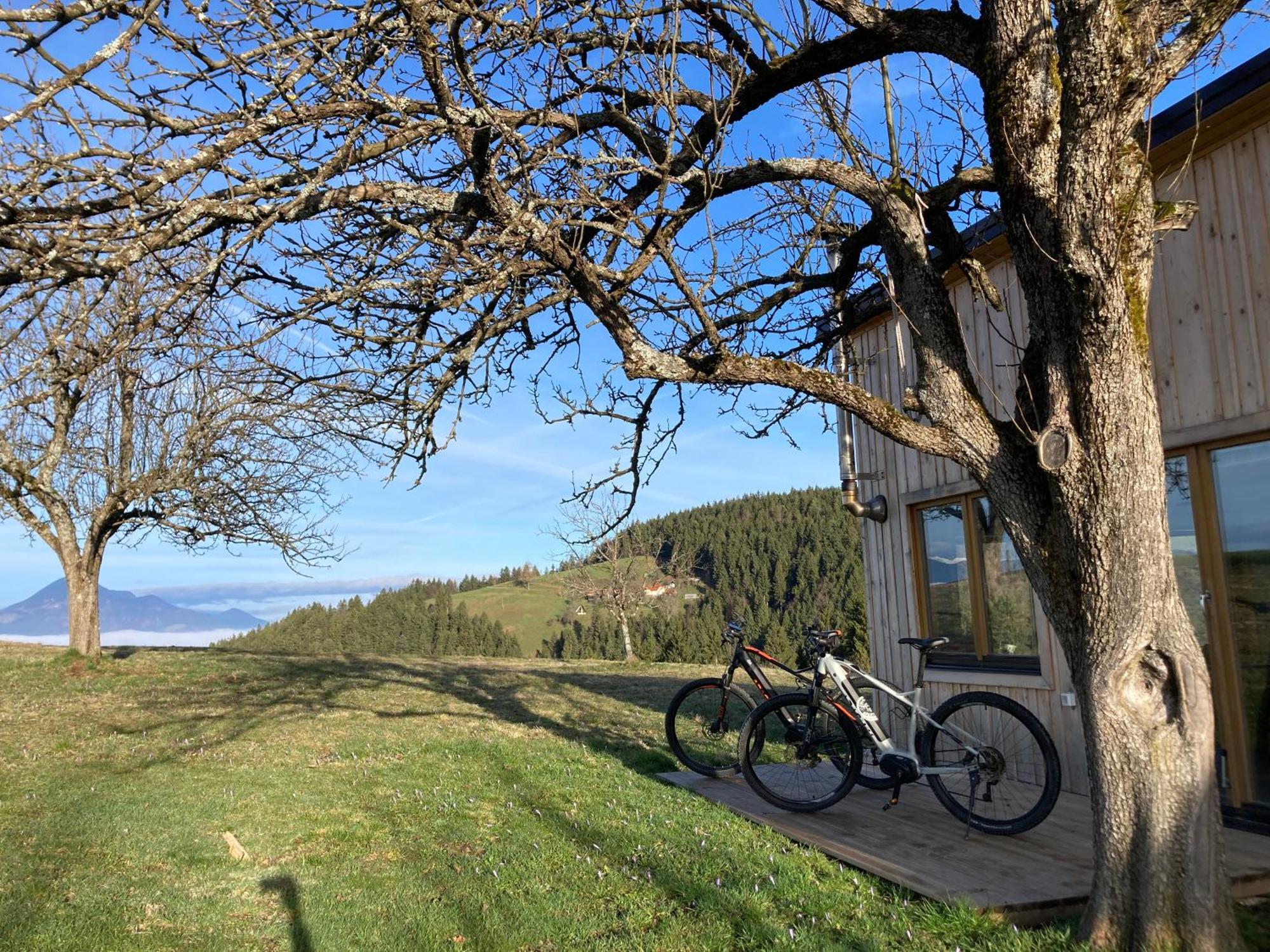 Tiny House Villa Mislinja ภายนอก รูปภาพ